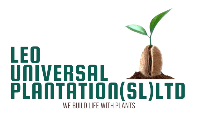 Leo Universal Plantation